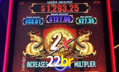 VIP Casino 22br